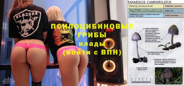 ECSTASY Зеленодольск