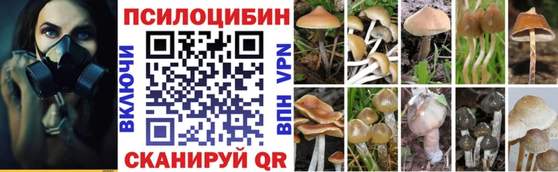 Купить  Первоуральск  Псилоцибиновые грибы MAGIC MUSHROOMS 